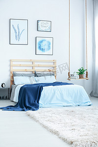 蓝色和白色卧室 
