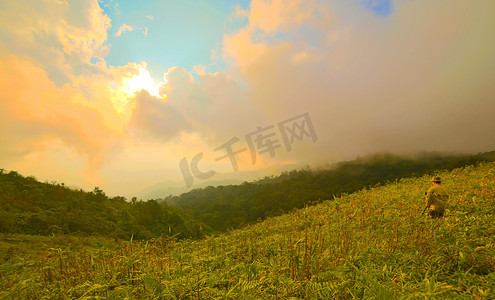 西红柿树摄影照片_山中的夏日风景