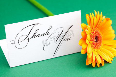 感谢大家摄影照片_非洲菊和卡签署绿色背景上谢谢你