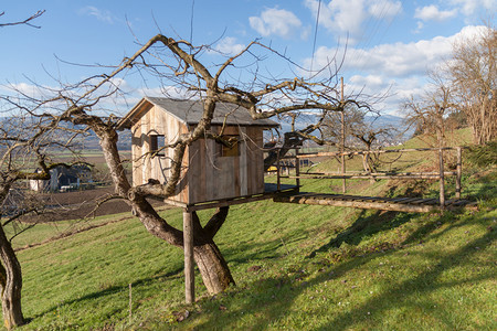 树上的房子-小屋-农场