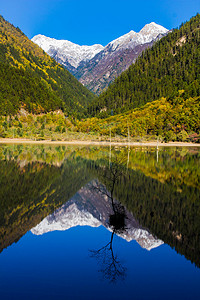 在九寨沟风景区镜子湖