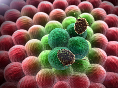 预防艾滋病病毒摄影照片_癌症细胞细胞