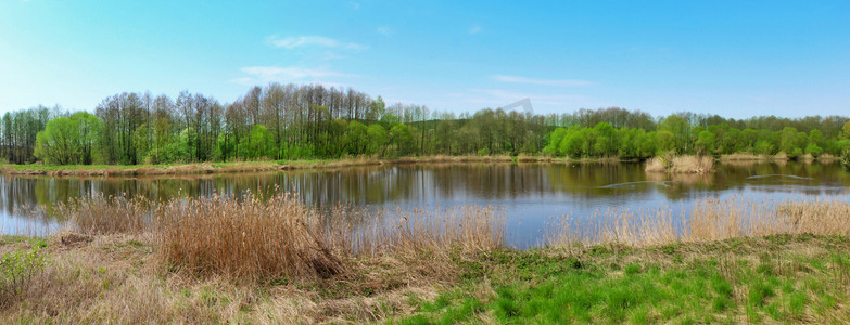 在树林里湖的全景图像