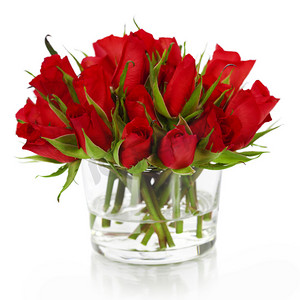 红色花朵海报背景摄影照片_美丽的红玫瑰