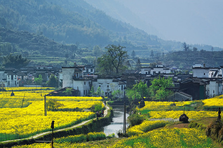 婺源县农村景观