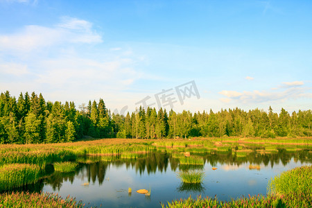 一个农村的小湖和绿色的森林