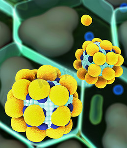 分子代谢摄影照片_分子细胞