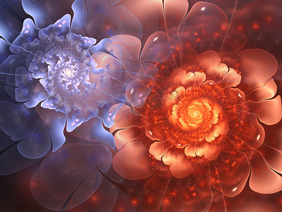红色花朵海报背景摄影照片_多彩的分形的花朵，为平面创意设计数码艺术作品