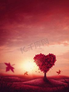 love摄影照片_Heart love tree