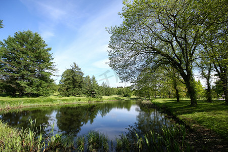 春天公园反映在池塘里