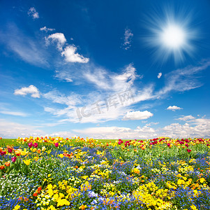 花床。七彩花朵在蓝蓝的天空