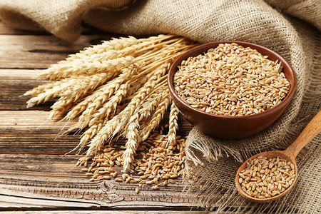 粗野摄影照片_小麦和小麦籽粒碗的耳朵