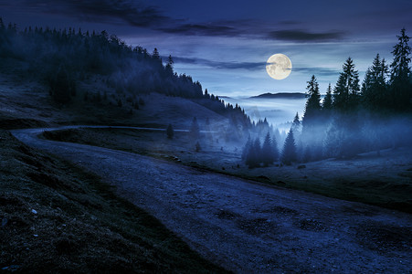 道近山区夜间的迷雾森林