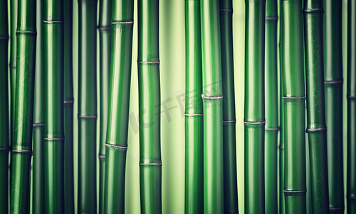 绿色竹林背景
