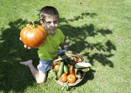 男孩和篮子与 vegetabless