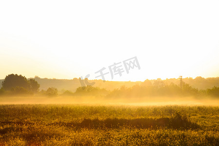 金色的早晨日出在薄雾的田野上