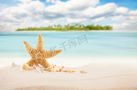棕榈背景摄影照片_热带沙滩与岛上的背景
