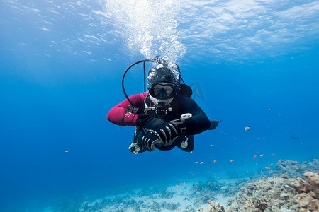 水肺潜水员浮在红海珊瑚礁和看 
