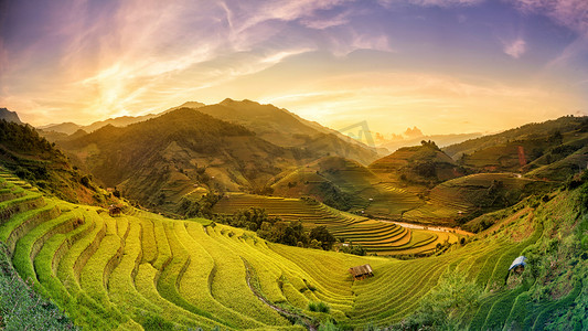 越南身份证摄影照片_关于 Vie 日元百亩常柴梯田在夕阳的稻田