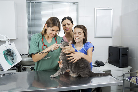 母亲和女儿在耳部检查期间举行只灰色的猫