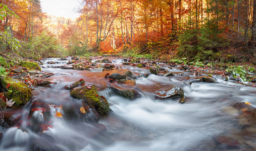 秋天的森林，山间溪流。美丽，岩石覆盖着苔藓。湍急河流和瀑布。喀尔巴阡.