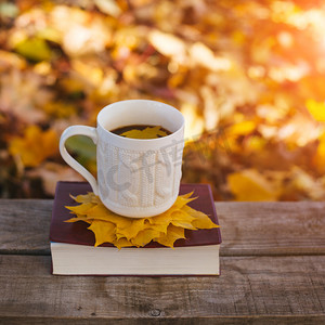 热的咖啡和红书与秋天的落叶木背景