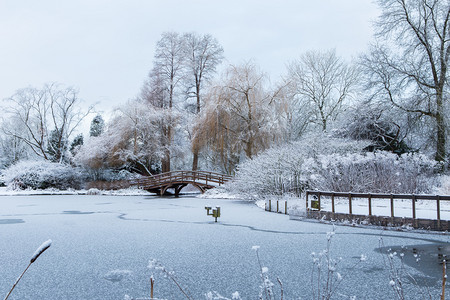 白色的结冰的池塘和白雪覆盖的树木在木桥市政花园景观