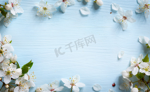 a4背景蓝色摄影照片_艺术春天背景;在蓝色背景上的鲜花
