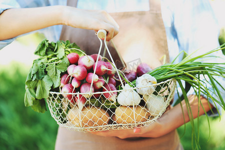 提篮子里有新鲜蔬菜的女人