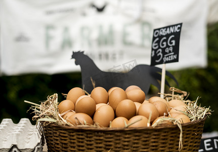 公鸡鸡蛋吃干草，在农夫市场