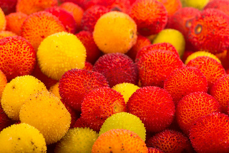 核果摄影照片_黄色和红色水果