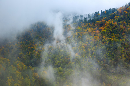 奇妙的山林云、 雾或雾中的风景
