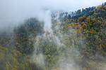 奇妙的山林云、 雾或雾中的风景初秋