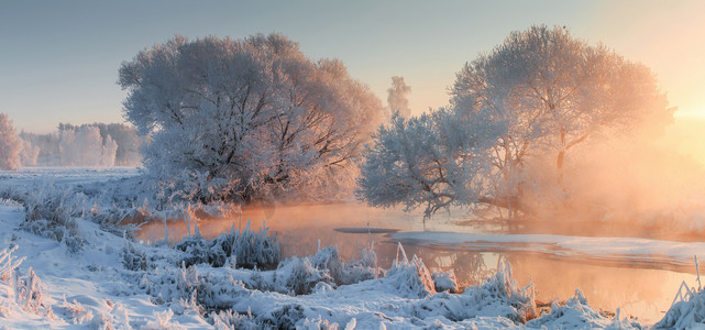 圣诞树木摄影照片_冬季景观。圣诞背景。冬日清晨, 温暖的阳光和冰冷的树木与霜.