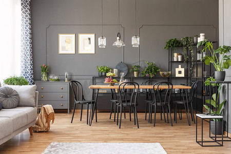 露天空间公寓内部与黑色椅子在一个木桌在用餐区和金属架子与植物反对黑暗的墙壁与塑造。真实照片