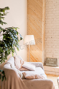 客厅室内装饰有沙发，木地板和装饰植物，地灯，室内装饰。 舒适的生活方式。 精致的带有纹理和设计元素的家居空间。现代