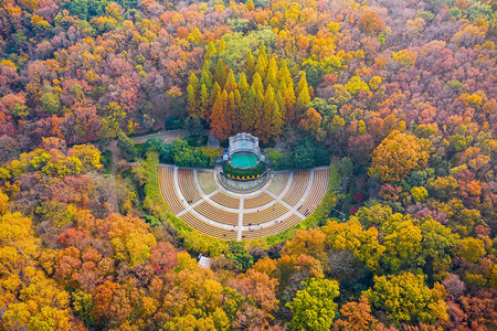 park摄影照片_An aerial view of the colorful autumn leaves in Zhongshan Park scenic spot in Nanjing city, east China's Jiangsu province, 20 October 2018. 