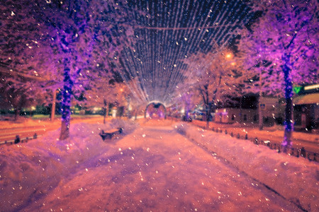 大雪蓝色摄影照片_一张蓝色的照片，是一个冬夜公园，有灯笼和圣诞装饰品，下着大雪.