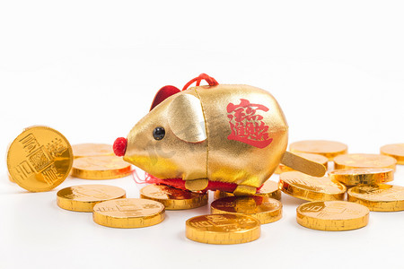春节幸运摄影照片_金钱币、金锭和鼠年吉祥物