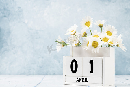 白色立方体日历，四月用菊花装饰，蓝色背景，有复制空间