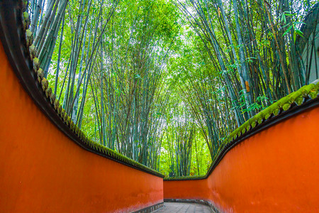 被竹子包围的红色墙壁之间的通道，成都，中国