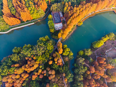 秋天Aerial photography scenery of jiefang Park, Wuhan, Hubei in late autumn