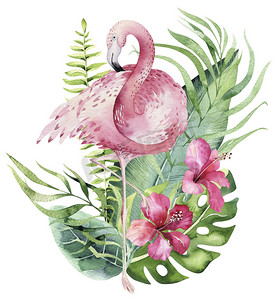 手绘水彩热带鸟套火烈鸟。异国情调的玫瑰鸟插图, 丛林树, 巴西新潮。完美的面料设计。阿罗哈系列.