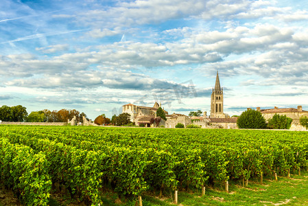 Vineyards of Saint Emilion, Bordeaux Wineyards in France in a sunny day