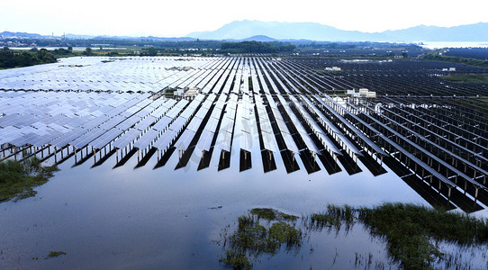 2018年5月17日, 中国东部江西省新余市丰义县光伏电站从废弃大坝改造的漂浮太阳能农场鸟图