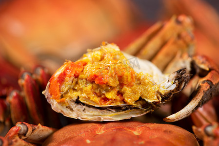 大闸蟹蒸煮的中国绒螃蟹或毛蟹，有很多螃蟹