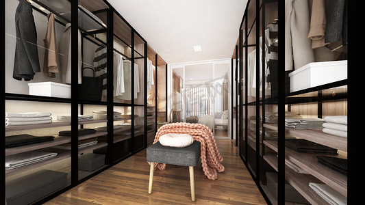 衣柜、衣橱、陈列柜内行走的现代豪华室内设计 