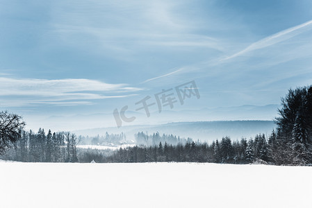 雪白的摄影照片_在冬天与雪白的喀尔巴泰山脉和树木的风景