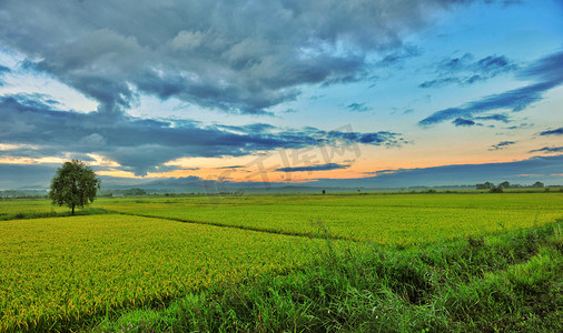 绿地蓝天，风景