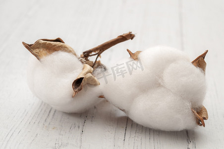 白木背景下分离棉厂的原料和纺织纤维生产概念